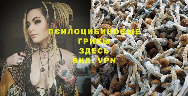 спиды Волоколамск